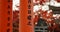 Architecture, torii gates and pillars at temple for religion, travel and traditional landmark for spirituality. Buddhism
