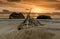 Archway Islands on the beach at Wharariki Beach near Nelson, New