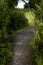 An Archway Between the Marshlands