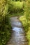 An Archway Between the Marshlands