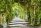 Archway in the park at summer