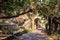 Archway and road in Ranthambore, India.