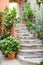 Archway with stone stairs and plants