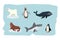 Arctic Animal with Penguin, Polar Bear, Walrus, Whale and Shark Vector Set