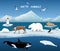 Arctic Animals Character and Background, Winter, Nature Travel and Wildlife