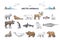Arctic animals collection with cold north environment wildlife outline set