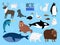 Arctic animals. Cute animal set of Arctic or Alaska vector illustration for education, penguin and polar bear