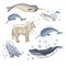 arctic animals nature wild world cold north cute cartoon ice snowflake polar