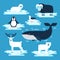 Arctic and Antarctic animals set, vector flat design illustration. Polar animals for infographic. White bear, penguin