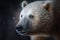 Arctic bear portrait on dark background. AI Generative
