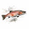 Arctic Char Ink Illustration On White Background