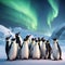 Arctic Christmas Choir: Penguin Carolers Under the Northern Lights