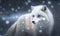 A Arctic fox braving through a blizzard. AI