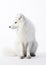 Arctic Fox. Captivating Wilderness. Generative AI