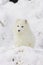 Arctic Fox in deep white snow