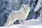 Arctic fox in a wild snowy landscape. AI generated