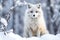 Arctic fox in a wild snowy landscape. AI generated