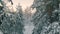 Arctic frozen forest in a snowy frost.Crystals of frozen snowflakes on branches in cold winter weather