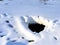 Arctic Gateway: Discovering the Mystique of the Hole in the Snow