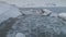 Arctic gentoo penguin group walk shore aerial view