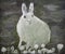 Arctic hare painting