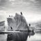 Arctic Harmony: Monochrome Penguins Perched on Icy Ocean Outcrop