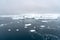 Arctic Icebergs Greenland in the arctic sea