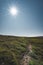 Arctic landscape of Disko Bay in Greeland in Summer. Sunstar on a Blue Sky and green meadows. Arctic Circle Trail with