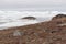 Arctic landscape in Greenland with icebergs