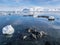 Arctic landscape - ice, sea, mountains, glaciers - Spitsbergen, Svalbard