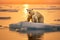 Arctic Love: Mother Bear and Cub on Ice