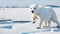 Arctic Majesty: The World of the Polar Bear\\\