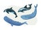 Arctic nautical mammals floating set. Polar habitat sea animals dolphin and whale with tail and fins