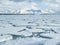 Arctic Ocean - pack ice on the sea surface