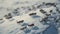 Arctic Odyssey: Aerial Panorama of Caribou Migrating Through Snowscape