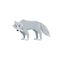 Arctic polar wolf. Cartoon flat style illustration of polar and arctic animal. Vector illustration for kids, education.