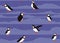 Arctic Puffins seamless pattern