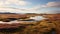 Arctic Sea Ice Meadow: A Stunning Norwegian Nature Landscape