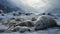 Arctic Serenity: Elephant Seals Lounging in a Snowy Oasis