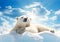 Arctic Serenity: A Polar Bear\\\'s Relaxing Day in the Snow