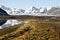 Arctic summer landscape - reindeer on tundra