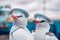 Arctic terns dressed as members of an airplane cre, generative AI