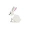 Arctic white hare. Cartoon flat style illustration of polar and arctic animal. Vector illustration for kids, education.