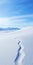 Arctic White Sand Dunes: A Whistlerian Precisionist Matte Photo