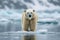 Arctic wilderness Ursus maritimus standing on pack ice in Norway