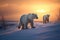 Arctic Wildlife at Twilight
