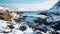 Arctic Winter Landscape: Serene Oceanic Vistas Captured In Wildlife Photography