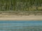 Arctic wolf along the Horton River, Northwest Territories, Canada