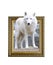Arctic wolf in frame with 3d effect