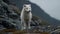 Arctic wolf howling, nature beauty in winter generated by AI